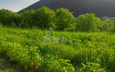 იყიდება მიწის ნაკვეთი ორხევი თიანეთი მცხეთა   მთიანეთი