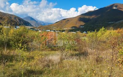 Продается Земля Деревня Чинти Душети Мцхета   Мтианети