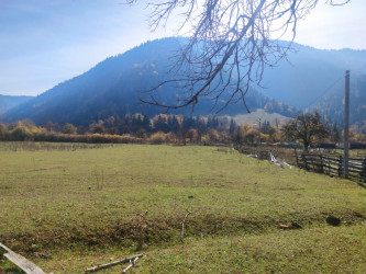 იყიდება მიწის ნაკვეთი სადგერი ბორჯომი სამცხე   ჯავახეთი