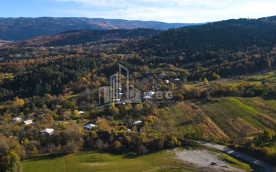 For Sale Land Nikortsminda Ambrolauri Racha   Lechxumi Kvemo Svaneti
