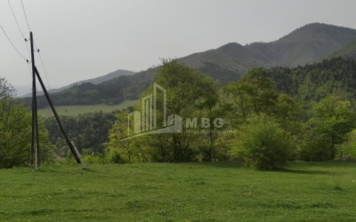 იყიდება მიწის ნაკვეთი მზეთამზე ბორჯომი სამცხე   ჯავახეთი