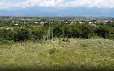 For Sale Commercial Atskuri Akhmeta Kakheti