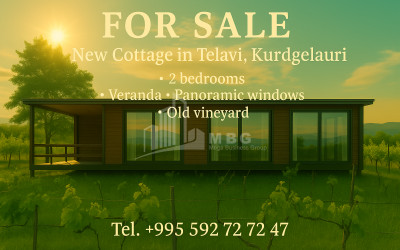 For Sale House Villa Kurdghelauri Telavi Kakheti