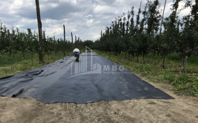 For Sale Land Marneuli Kvemo Kartli