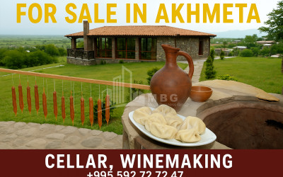 For-Sale-Commercial-Atskuri-Akhmeta-Kakheti
