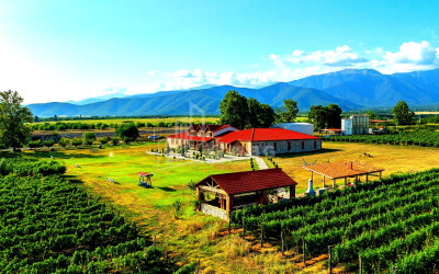 For Sale Commercial Shilda Kvareli Kakheti
