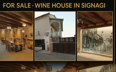 For-Sale-Commercial-Signagi-Kakheti