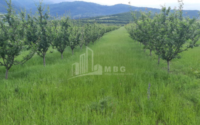 For Sale Land Marneuli Kvemo Kartli