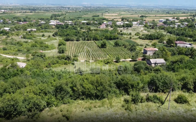 For Sale Commercial Atskuri Akhmeta Kakheti