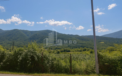 იყიდება მიწის ნაკვეთი კვაცხუთი ამბროლაური რაჭა   ლეჩხუმი ქვემო სვანეთი