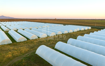 იყიდება მიწის ნაკვეთი ვანი იმერეთი