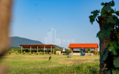 For Sale Commercial Shilda Kvareli Kakheti