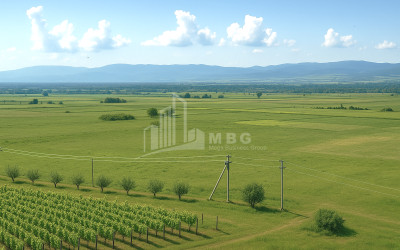 Продается Земля Шильда Кварели Кахети