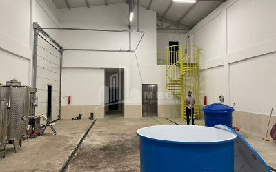 იყიდება კომერციული ფართი დოესი კასპი შიდა ქართლი