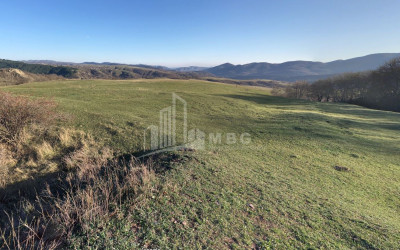 Продается Земля Тетрицкаро Квемо Картли