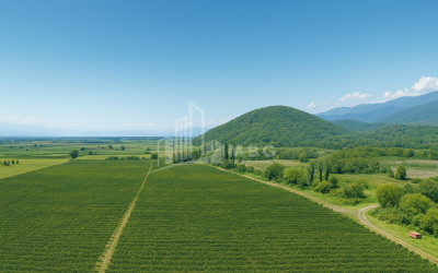 Продается Земля Шильда Кварели Кахети