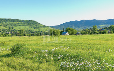იყიდება მიწის ნაკვეთი ქვემო ნაქალაქარი თიანეთი მცხეთა   მთიანეთი