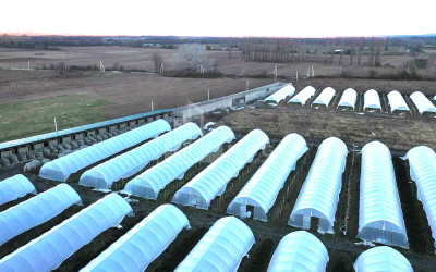 იყიდება მიწის ნაკვეთი ვანი იმერეთი