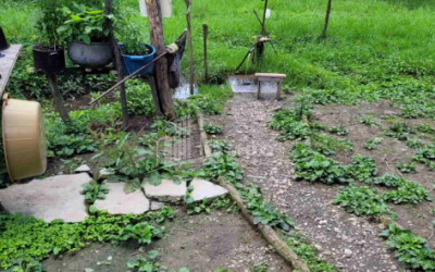 For Sale Land Chibati village Lanchkhuti Municipalities of Guria