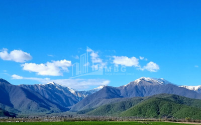 For Sale Land Eniseli Kvareli Kakheti
