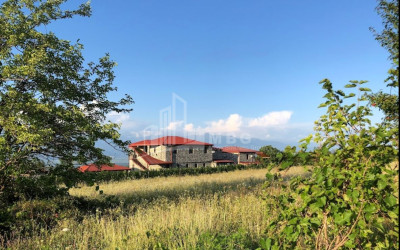 Продается Коммерческий Телави Кахети