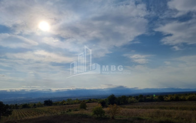 For Sale Land Eniseli Kvareli Kakheti