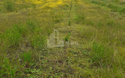 იყიდება მიწის ნაკვეთი სენაკი სამეგრელო   ზემო სვანეთი