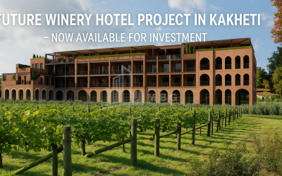 Продается Коммерческий Хашми Сагареджо Кахети