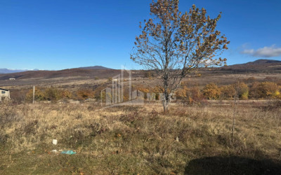 For Sale Land Zakaro Mtskheta Mtskheta   Mtianeti