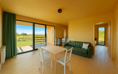 For Sale House Villa Kurdghelauri Telavi Kakheti