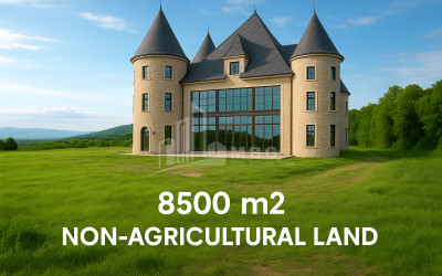 იყიდება მიწის ნაკვეთი სიღნაღი კახეთი