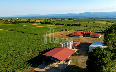 For Sale Commercial Shilda Kvareli Kakheti