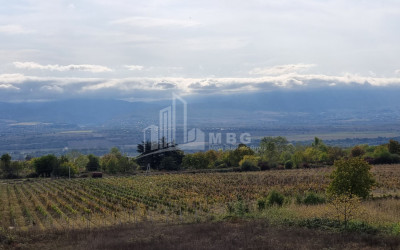 For Sale Land Eniseli Kvareli Kakheti