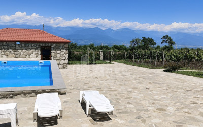 Продается Коммерческий Телави Кахети