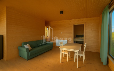 For Sale House Villa Kurdghelauri Telavi Kakheti