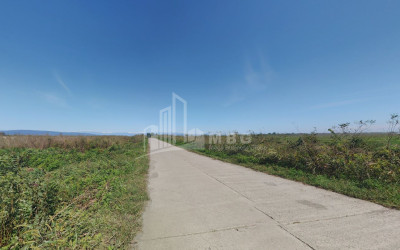 იყიდება მიწის ნაკვეთი სენაკი სამეგრელო   ზემო სვანეთი