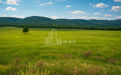 Продается Земля Гомбори Сагареджо Кахети