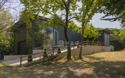 Продается Коммерческий Греми Кварели Кахети