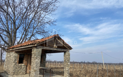 For Sale Land Tsinandali Telavi Kakheti