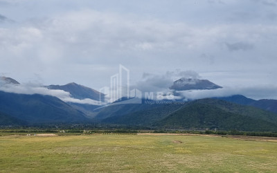 For Sale Land Eniseli Kvareli Kakheti