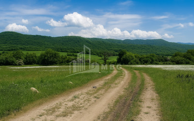 Продается Земля Гомбори Сагареджо Кахети