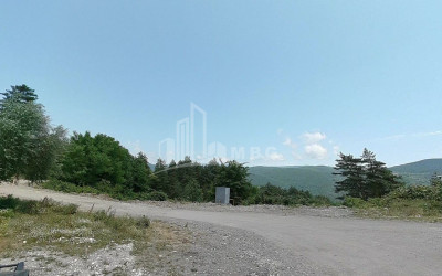 Продается Земля Иста Амбролаури Рача   Лечхуми Квемо Сванети