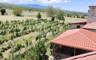 Продается Коммерческий Телави Кахети