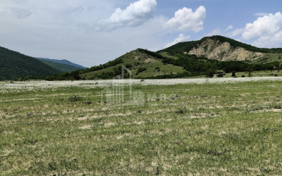 Продается Земля Гомбори Сагареджо Кахети