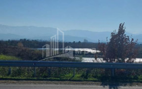 For Sale Land Kutaisi Imereti