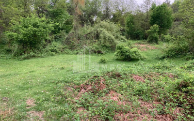 Продается Земля Иста Амбролаури Рача   Лечхуми Квемо Сванети