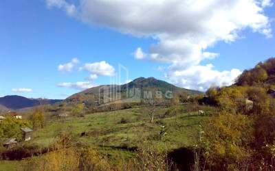 Продается Земля Иста Амбролаури Рача   Лечхуми Квемо Сванети