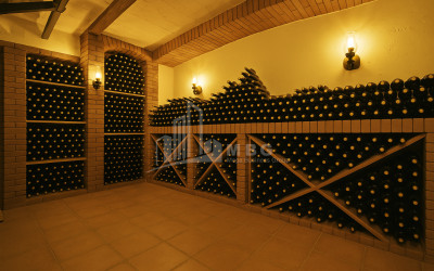 Продается Коммерческий Хашми Сагареджо Кахети