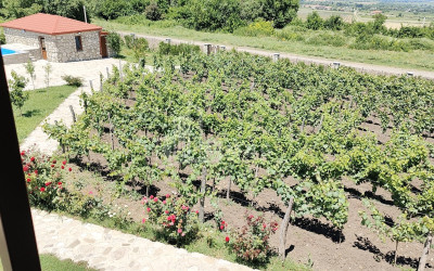 Продается Коммерческий Телави Кахети