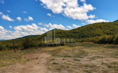 იყიდება მიწის ნაკვეთი სიღნაღი კახეთი